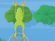عبور النهر لعبة الضفدع الاخضر النطاط Clever Frog