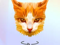 بولي آرت